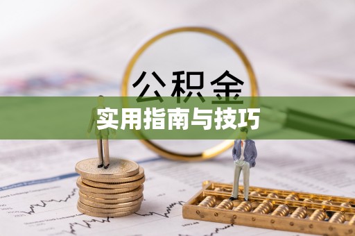 东乡实用指南与技巧