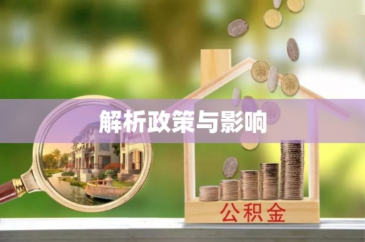 东乡解析政策与影响