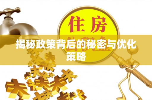 东乡揭秘政策背后的秘密与优化策略