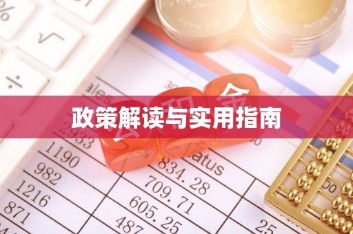 东乡政策解读与实用指南
