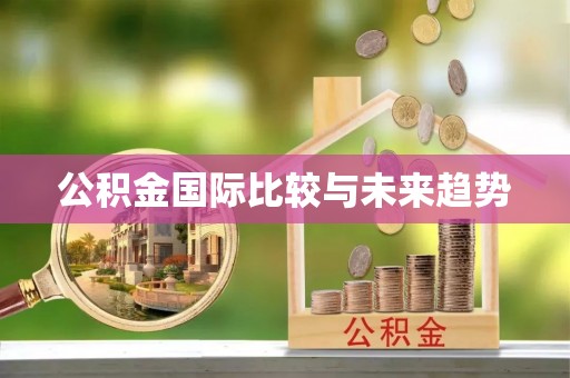东乡公积金国际比较与未来趋势