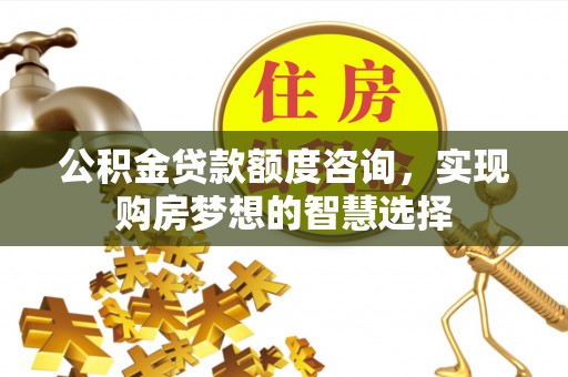 东乡公积金贷款额度咨询，实现购房梦想的智慧选择