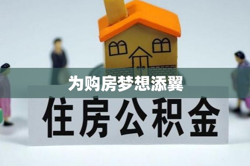 东乡为购房梦想添翼