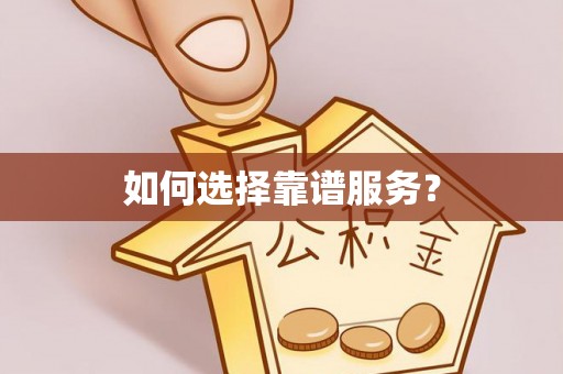 东乡如何选择靠谱服务？