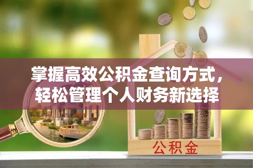 东乡掌握高效公积金查询方式，轻松管理个人财务新选择