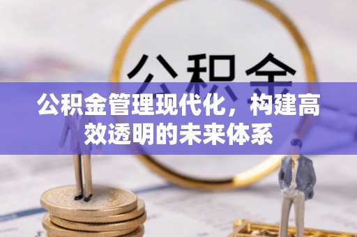 东乡公积金管理现代化，构建高效透明的未来体系