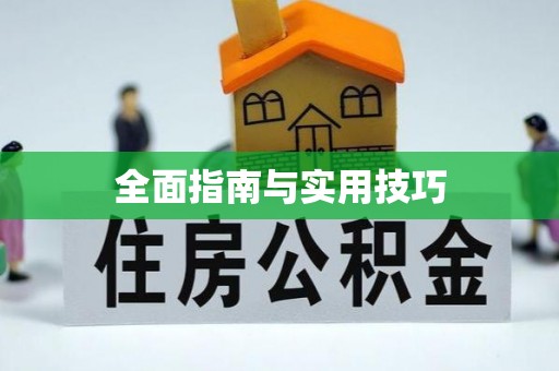 东乡全面指南与实用技巧