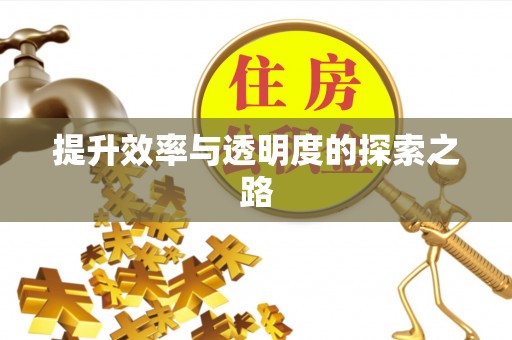 东乡提升效率与透明度的探索之路