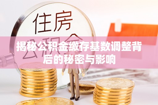 东乡揭秘公积金缴存基数调整背后的秘密与影响