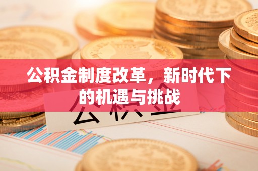 东乡公积金制度改革，新时代下的机遇与挑战