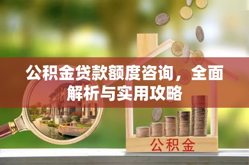 东乡公积金贷款额度咨询，全面解析与实用攻略