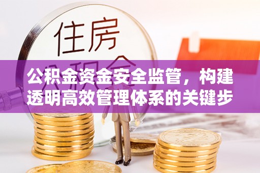 东乡公积金资金安全监管，构建透明高效管理体系的关键步骤