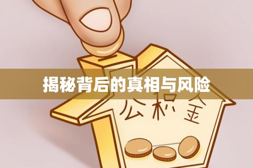 东乡揭秘背后的真相与风险