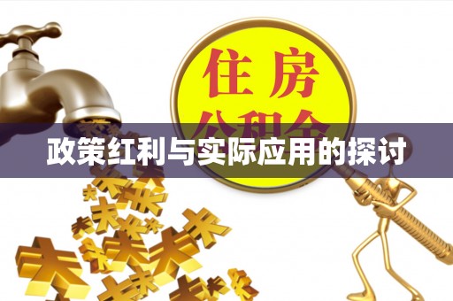 东乡政策红利与实际应用的探讨