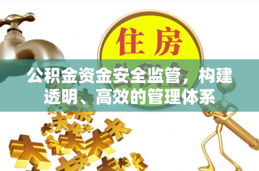 东乡公积金资金安全监管，构建透明、高效的管理体系