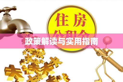 东乡政策解读与实用指南