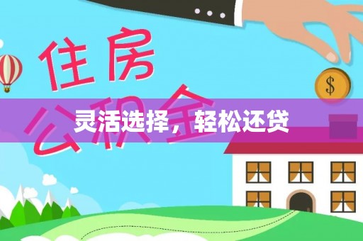 东乡灵活选择，轻松还贷
