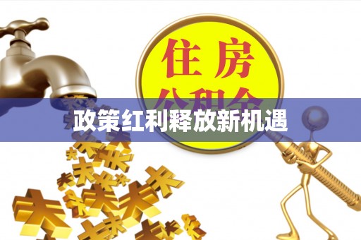 东乡政策红利释放新机遇