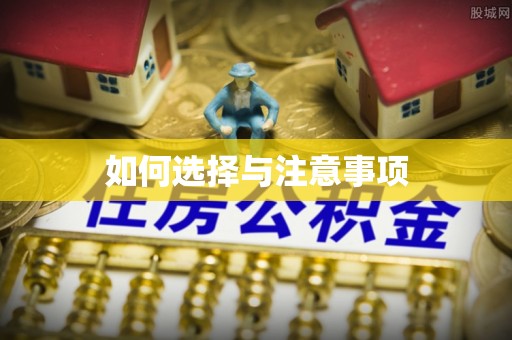 东乡如何选择与注意事项