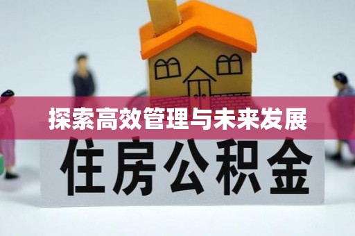 东乡探索高效管理与未来发展