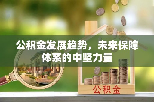 东乡公积金发展趋势，未来保障体系的中坚力量