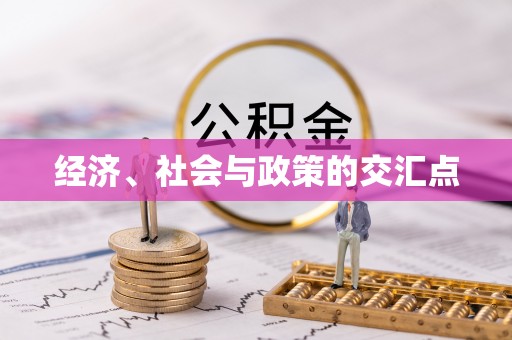 东乡经济、社会与政策的交汇点