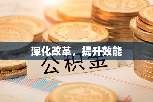 东乡深化改革，提升效能