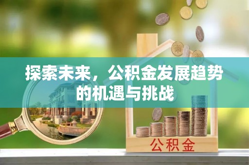 东乡探索未来，公积金发展趋势的机遇与挑战