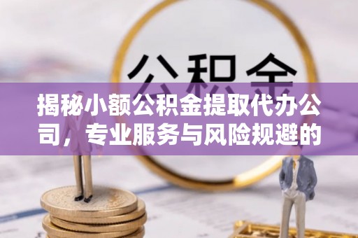 东乡揭秘小额公积金提取代办公司，专业服务与风险规避的平衡艺术
