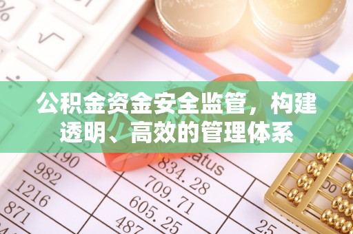 东乡公积金资金安全监管，构建透明、高效的管理体系