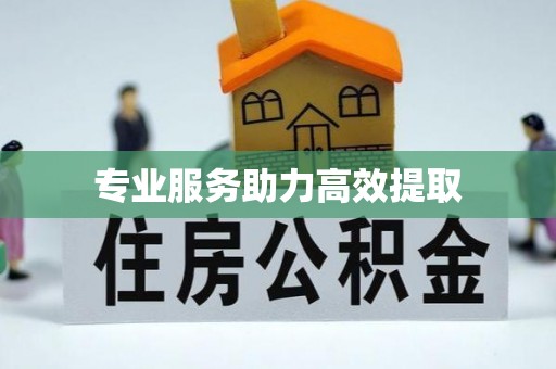东乡专业服务助力高效提取