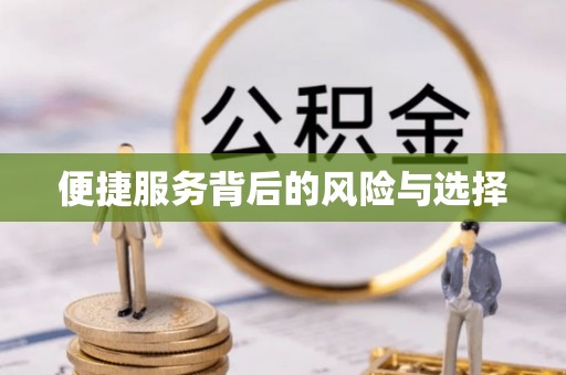 东乡便捷服务背后的风险与选择