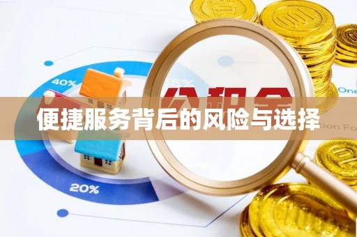 东乡便捷服务背后的风险与选择