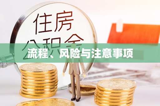 东乡流程、风险与注意事项
